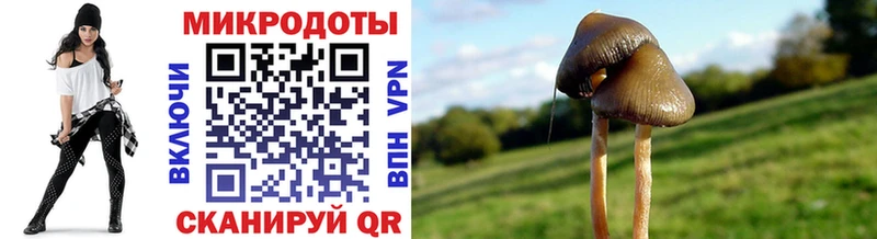 Псилоцибиновые грибы прущие грибы  Купить где  Петров Вал 
